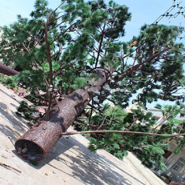 ANSI Bionic Tree Single Tube Camouflage Cell Tower