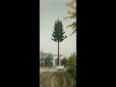Community Camouflage Cell Tower Pine Tree Communication