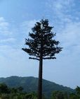 Longlife 50m Camouflaged Cell Phone Tower Tree