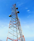 30 Meter GSM Antenna Fake Palm Tree Cell Phone Tower