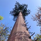 30m/S Coconut Tree Camouflage Cell Tower For Outdoor