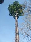Telecom Palm Tree 10m Height Camouflage Cell Tower
