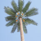 30 Meters Gsm Palm Tree Camouflage Cell Tower