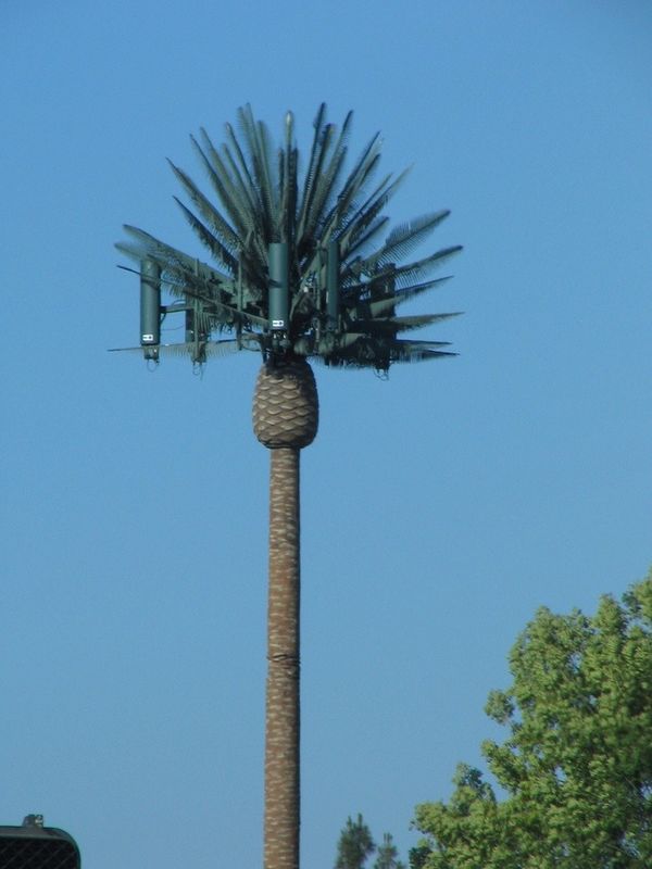 Single pole GSM Camouflaged Pine Tree Cell Tower