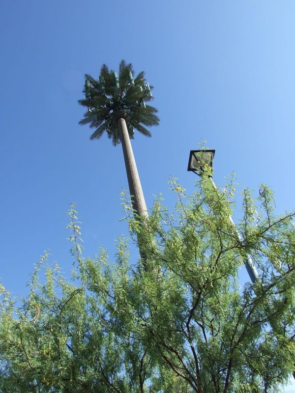 4g Base Station Palm Tree Monopole Steel Tower With Camouflage Leaves Tree Bark