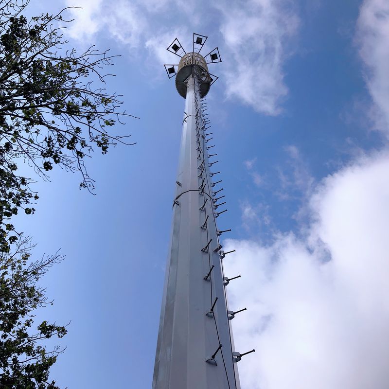 Environmental Telecom Monopole Bionic Tree Mobile Cell Tower 30m/S