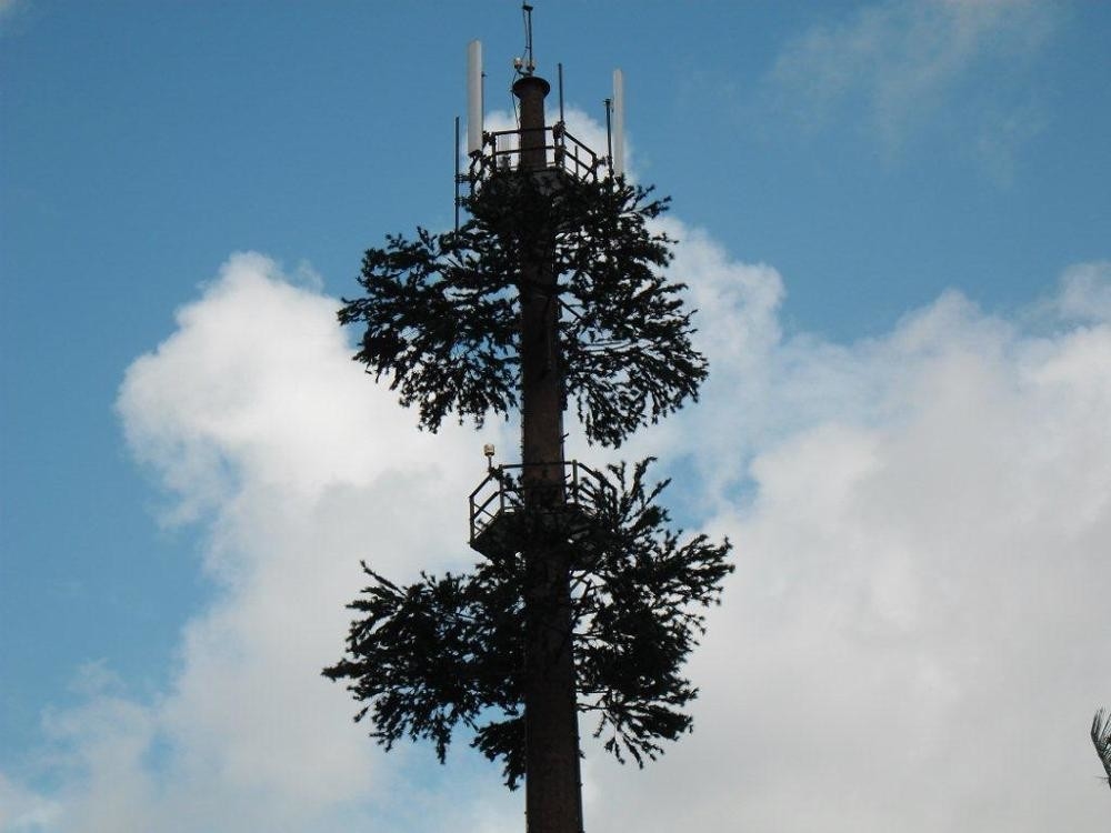 Community Camouflage Cell Tower Pine Tree Communication