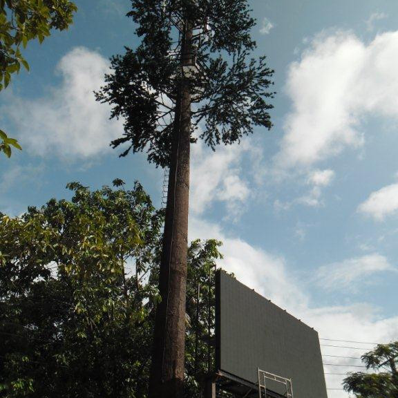 Artificial Palm Tree Camouflage Telecom Tower Mobile Monopole Bionic ...